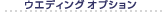 EGfBOIvV