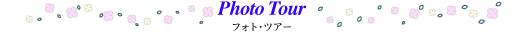 tHgcA[